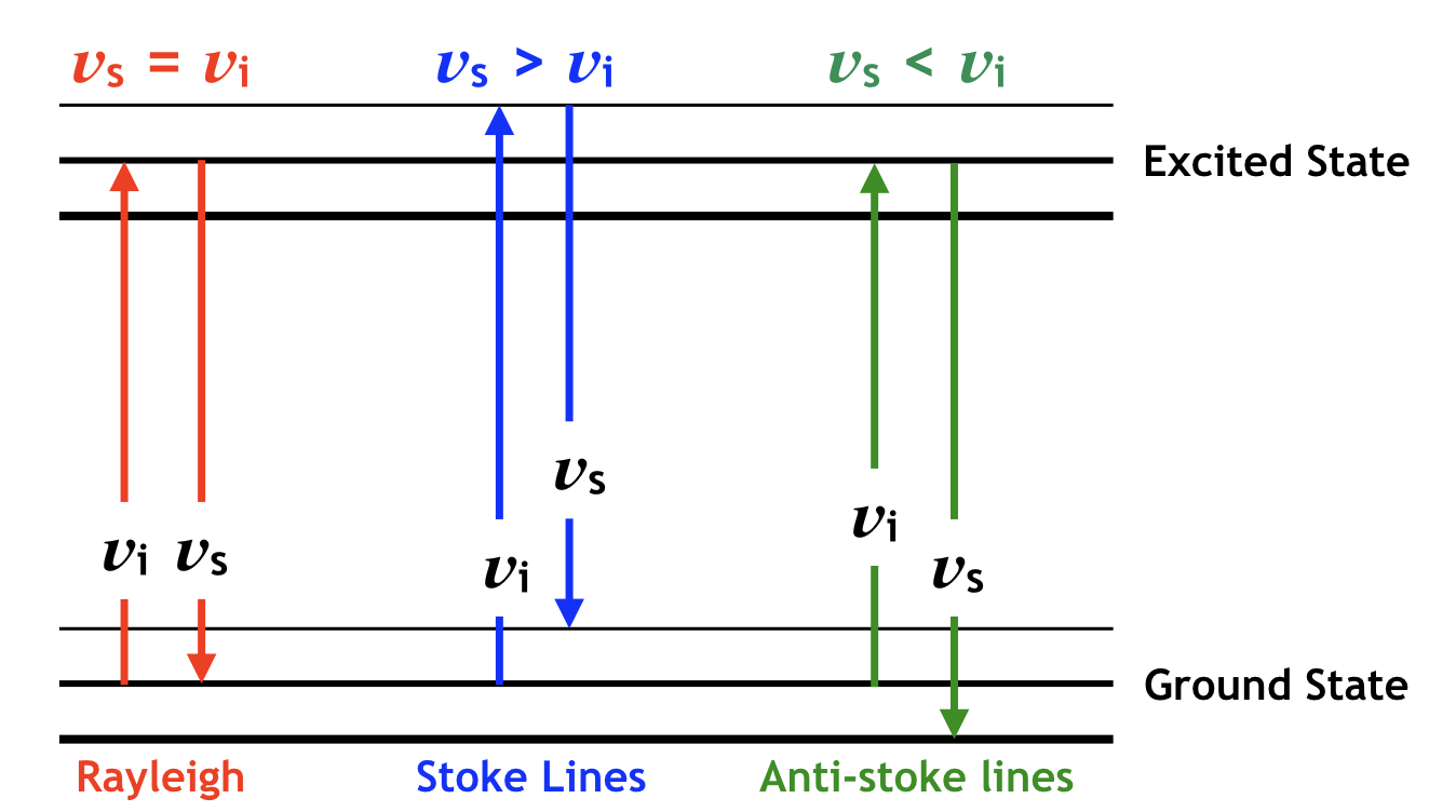 Polarisibility in a molecule